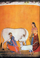 Кришна доит корову, Радха держит теленка. Школа Басоли, около 1750-1755 гг.